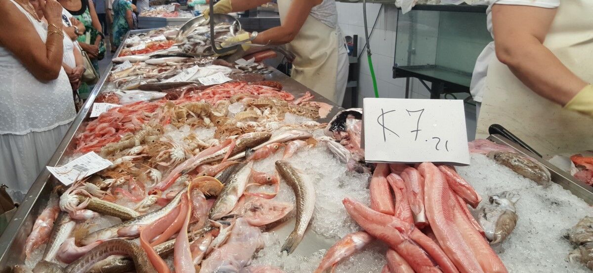 Taula Parada debate sobre el futuro de la pesca en el Mediterráneo (II)