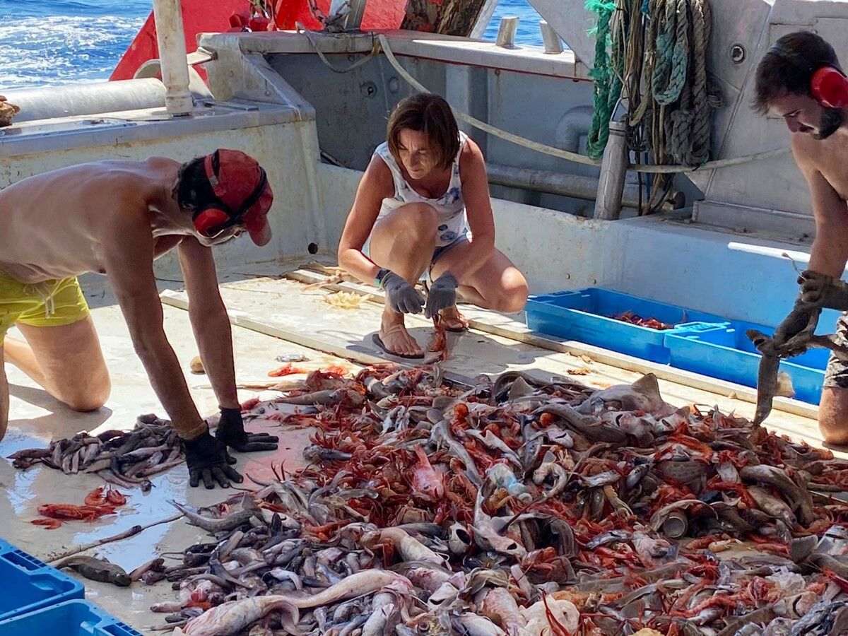Taula Parada debate sobre el futuro de la pesca en el Mediterráneo (II)